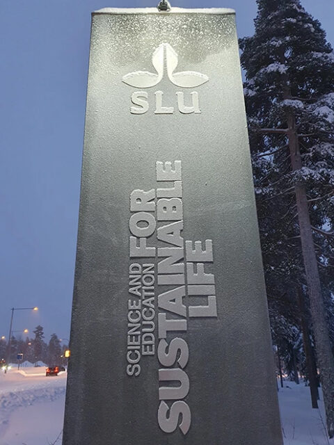 Infartsskylt SLU Umeå